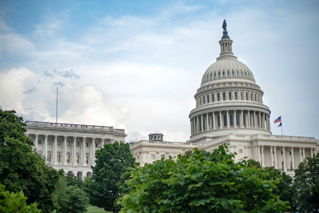 The United States Capitol in Washington D.C. (Ramaz Bluashvili / Pexels)
