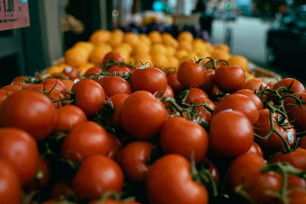 Isocycloseram, a “forever chemical” insecticide that falls into the class of highly persistent PFAS, was approved for use on a host of food crops, including tomatoes, oranges, and more. (Colby Winfield / Unsplash)