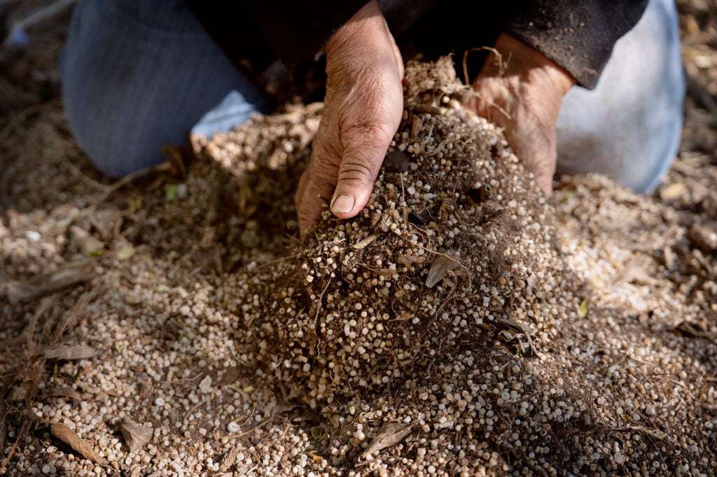 Diane Wilson, wearing jeans and black outerwear, kneels down and scoops her hands into the soft soil of a bay island. Interspersed and mixed in throughout the soil are an uncountable amount of of round whiteish plastic pellets.