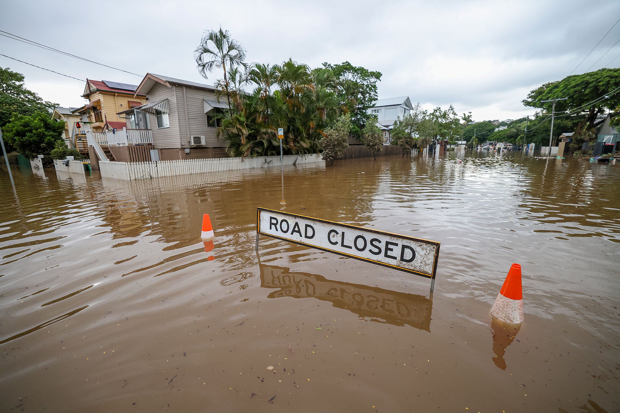 Brown, murky floodwaters are almost entirely submerging a sign that reads "Road Closed" and the two bright orange traffic cones that flank the sign. The brown waters are slightly rippling. Homes on either side of the intersection are partially submerged in water. The brown floodwaters are in stark contrast to the bright green trees growing in the yards and gardens of the flooded homes.