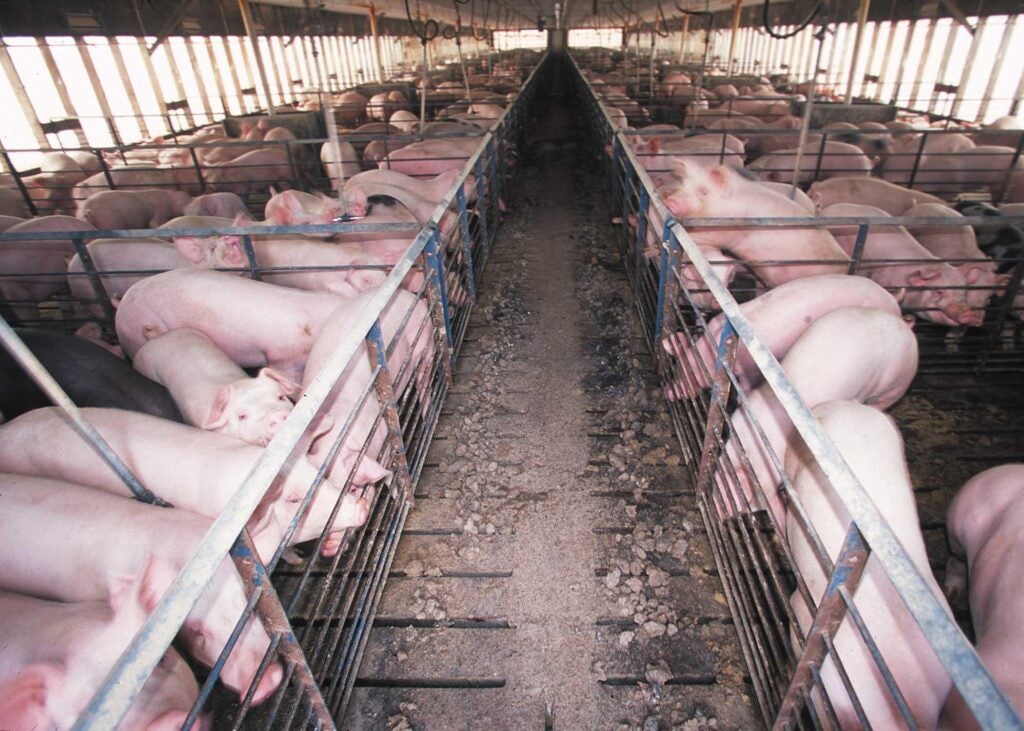A hog confinement barn. (EPA)