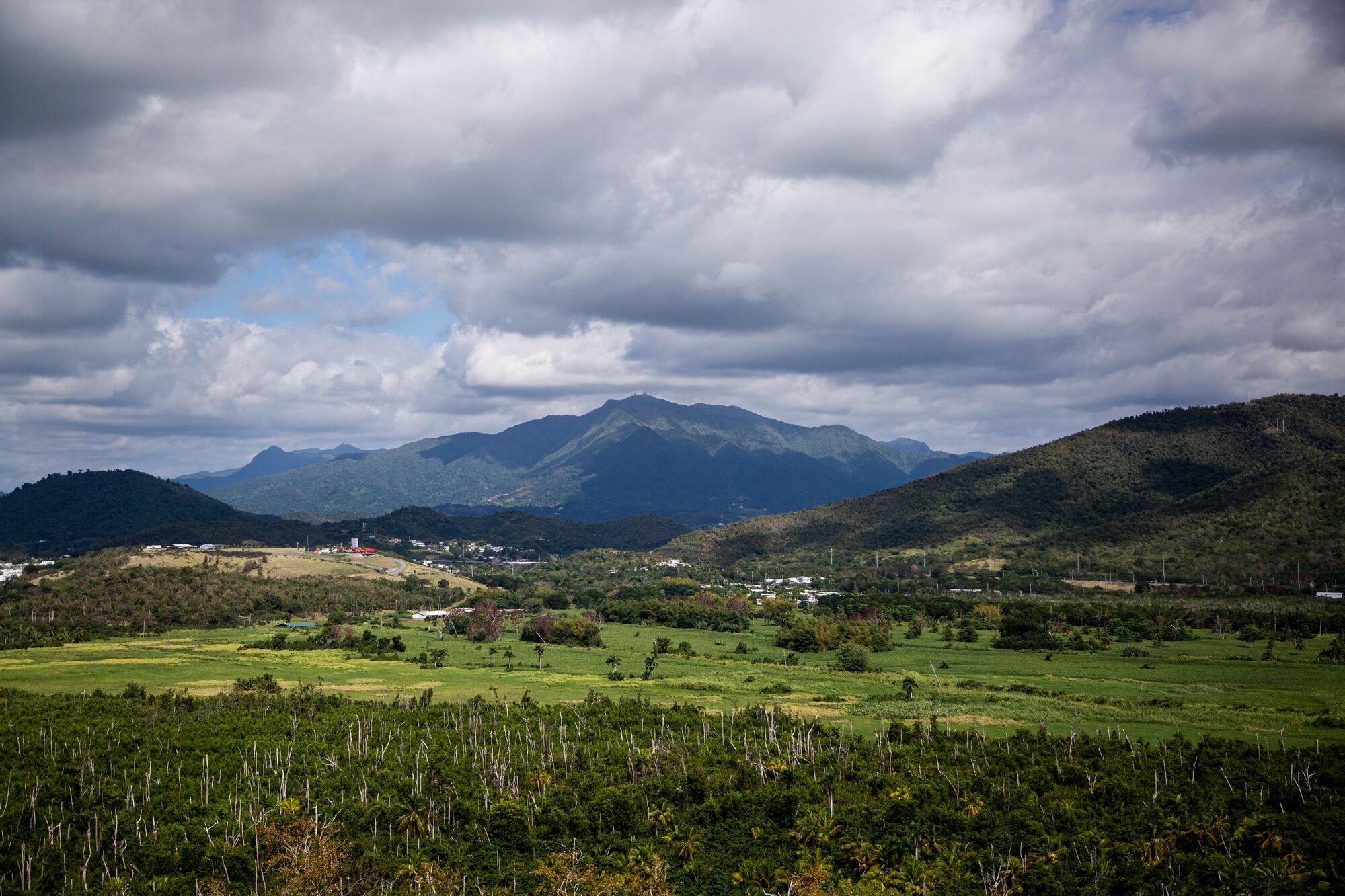 An open, beautifully lush and verdant landscape with rolling hills under a blue sky with fluffy clouds. The landscape is sparsely populated with low-rise dwellings.