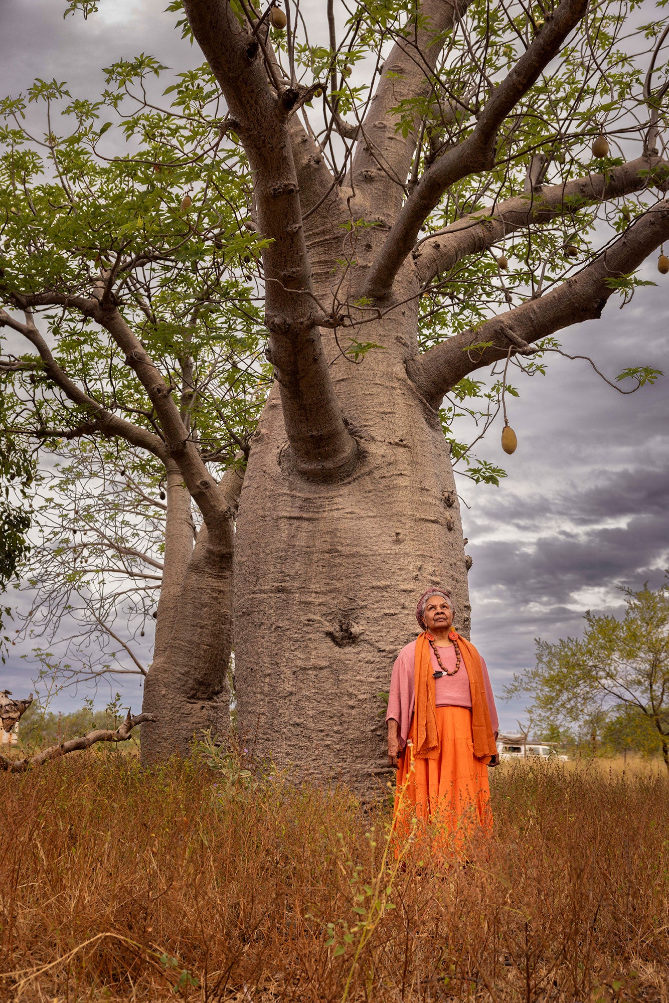 Anne stands at the base of an impressively tall, thick-trunked boab tree. She looks up towards the sky with a serious, pensive expression. The undergrowth of grasses is tall, reaching up to her knees. It is a cloudy, overcast day.