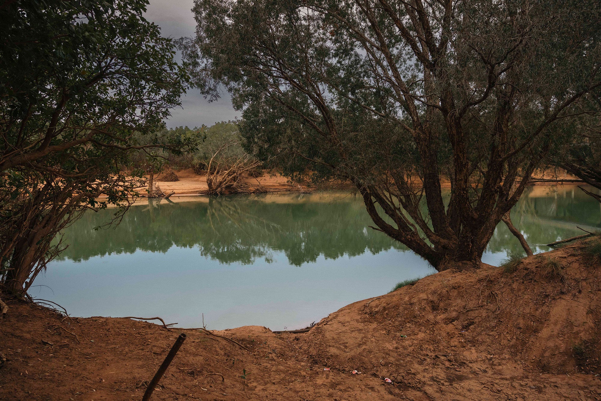 View of a wide greenish river from one bank to another. Trees line the reddish-brown soil of the banks, reflected on the surface of the water. On the opposite bank is a dead or uprooted tree. The sky is overcast.