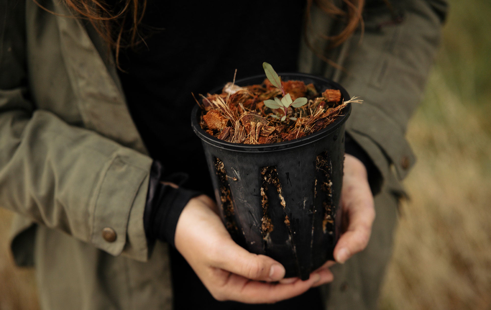 Close-up view of Cat standing and holding a plant in a black plastic pot at waist-height. The bottom of the plant container is cupped in both her hands. A small, low plant with a flat, oval-shaped leaves is in the pot.