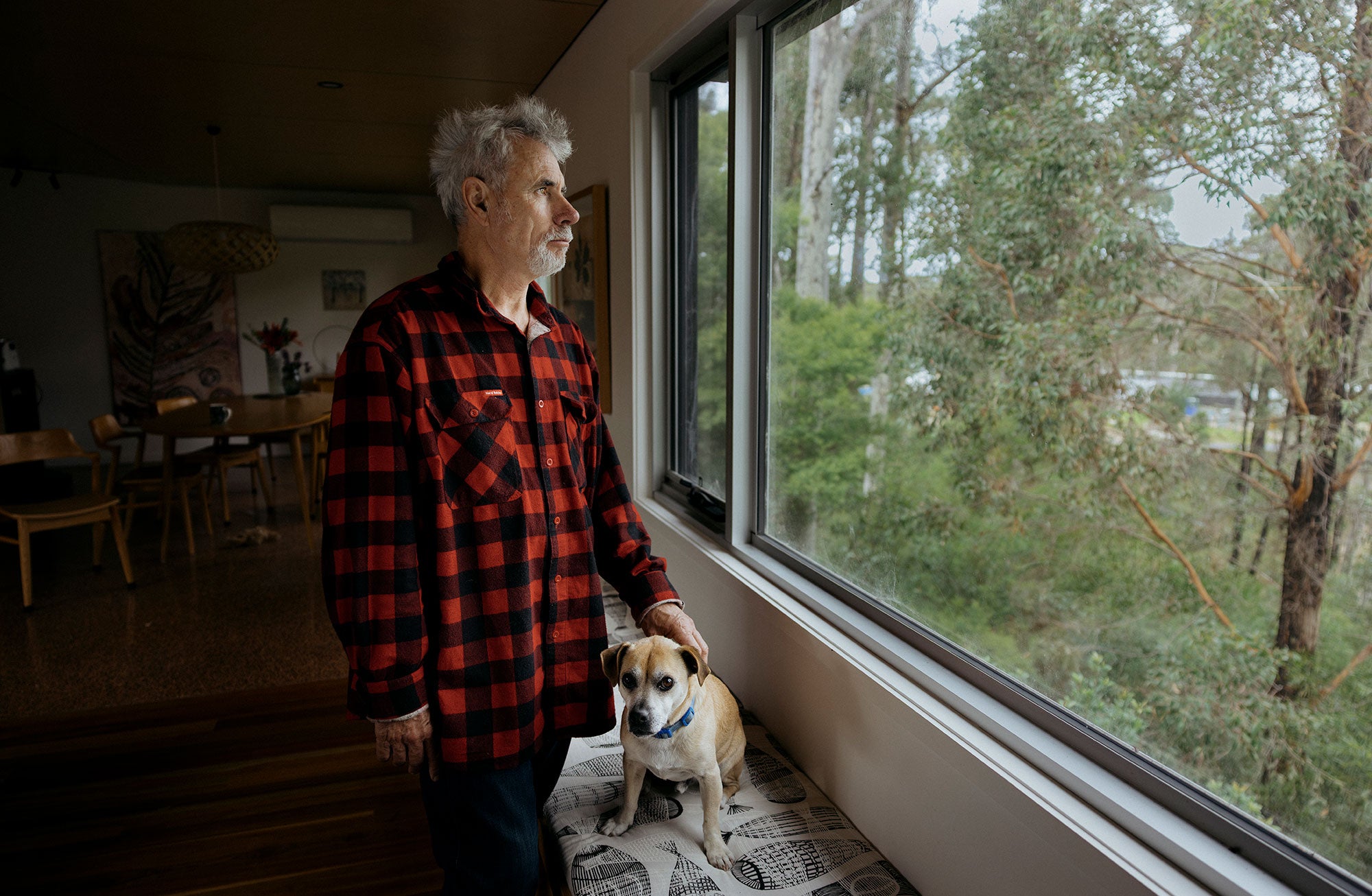 Jack stands inside his home, looking outside somberly through a large window onto a green, forested landscape. His body is slightly angled toward the viewer. His left hand rests on the back of a small brown and tan-colored dog with floppy ears, who is wearing a blue collar and sitting facing the viewer on a cushioned window bench seat. Behind Jack in the dark interior of the room is a table and chairs.