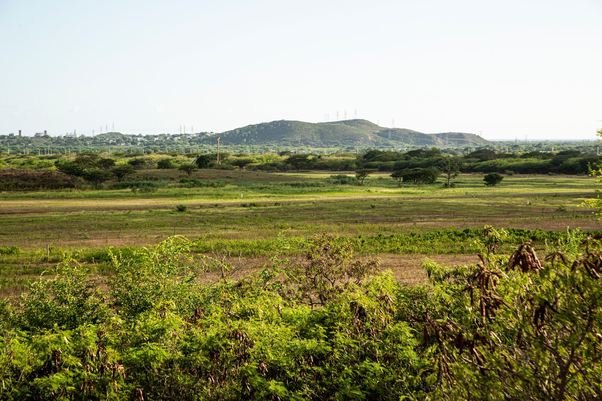 A wide open field. In the distance, transmission towers are visible along the tops of hills.