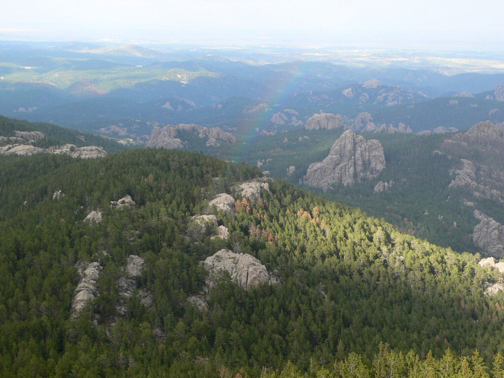 An aerial view of the densely forested Black Hills National Forest that covers rolling hills as far as the eye can see. Impressively large rock faces jut out towards the sky from the forest. A faint rainbow is visible in the middle of the image. The sky is slightly overcast, and the view slightly hazy.