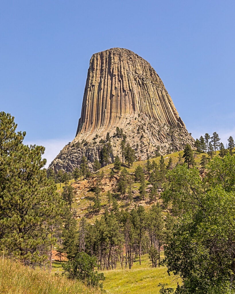An enormous stone tower rises up into a cloudless blue sky from a sparsely forested green landscape. The stone has numerous parallel vertical layer-like scores going from top to bottom. In the near foreground is a large pine tree and other species of trees.
