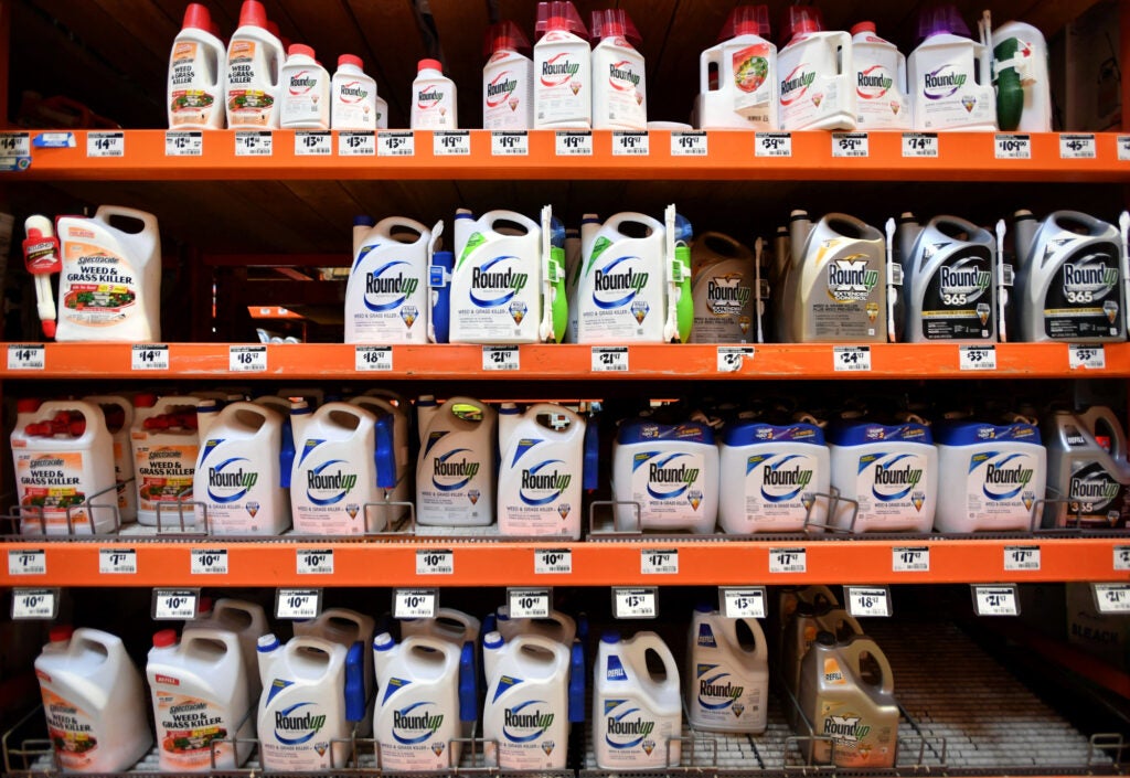 Jugs of weed killer, including Roundup, sit on orange metal shelves.