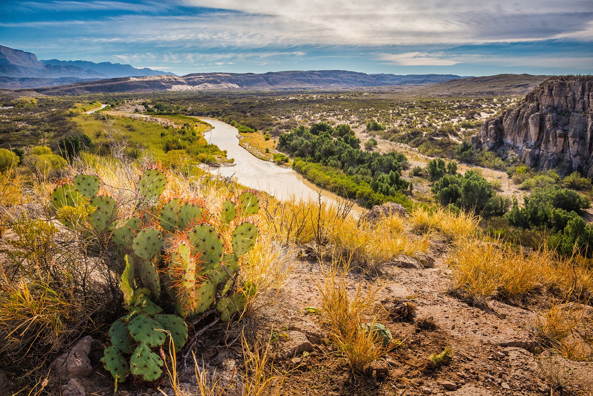 A view of a desert landscape from the top of a cliff, with a small cactus in the foreground, a river in the middle distance, and low, rocky hills and cliffs in the distance. There is some green vegetation across the landscape, near the river.