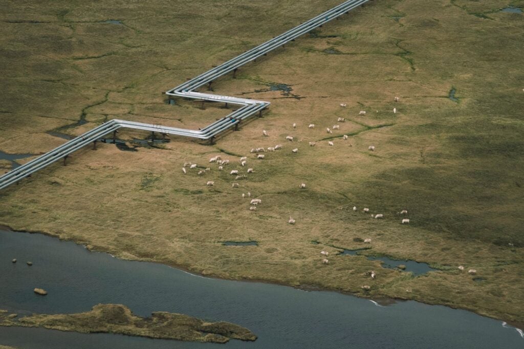 Pipelines stretching across a grassy field in the Western Arctic near a lake.
