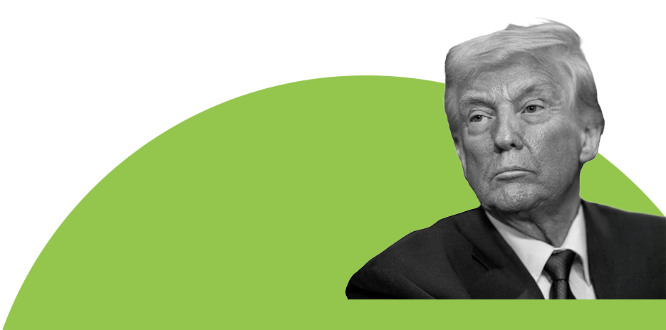 Trump in Kiwi