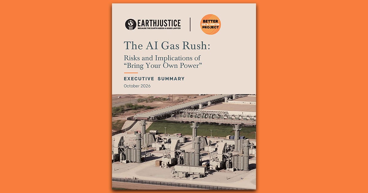 Cover image of the executive summary of the report, "The AI's Gas Rush: Risks and Implications of "Bring Your Own Power"