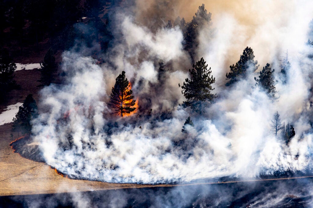 Smoke is everywhere as a grass fire burns a large field. There is a cluster of trees in the middle that are also on fire.