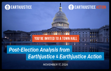 You're invited to a town hall -- Election  Analysis from Earthjustice and Earthjustice Action.