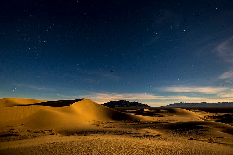 Spanning 1.6 million acres, Mojave Trails National Monument is a stunning mosaic of rugged mountain ranges, ancient lava flows and fossil beds, and spectacular sand dunes. Rare plants and many native animal species call this timeless landscape home.
(Bob Wick / BLM)