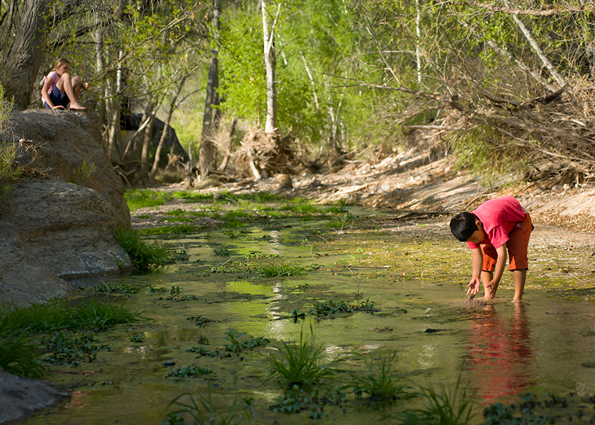 The proposed Rosemont Mine threatened Cienega Creek, where these children are playing.</