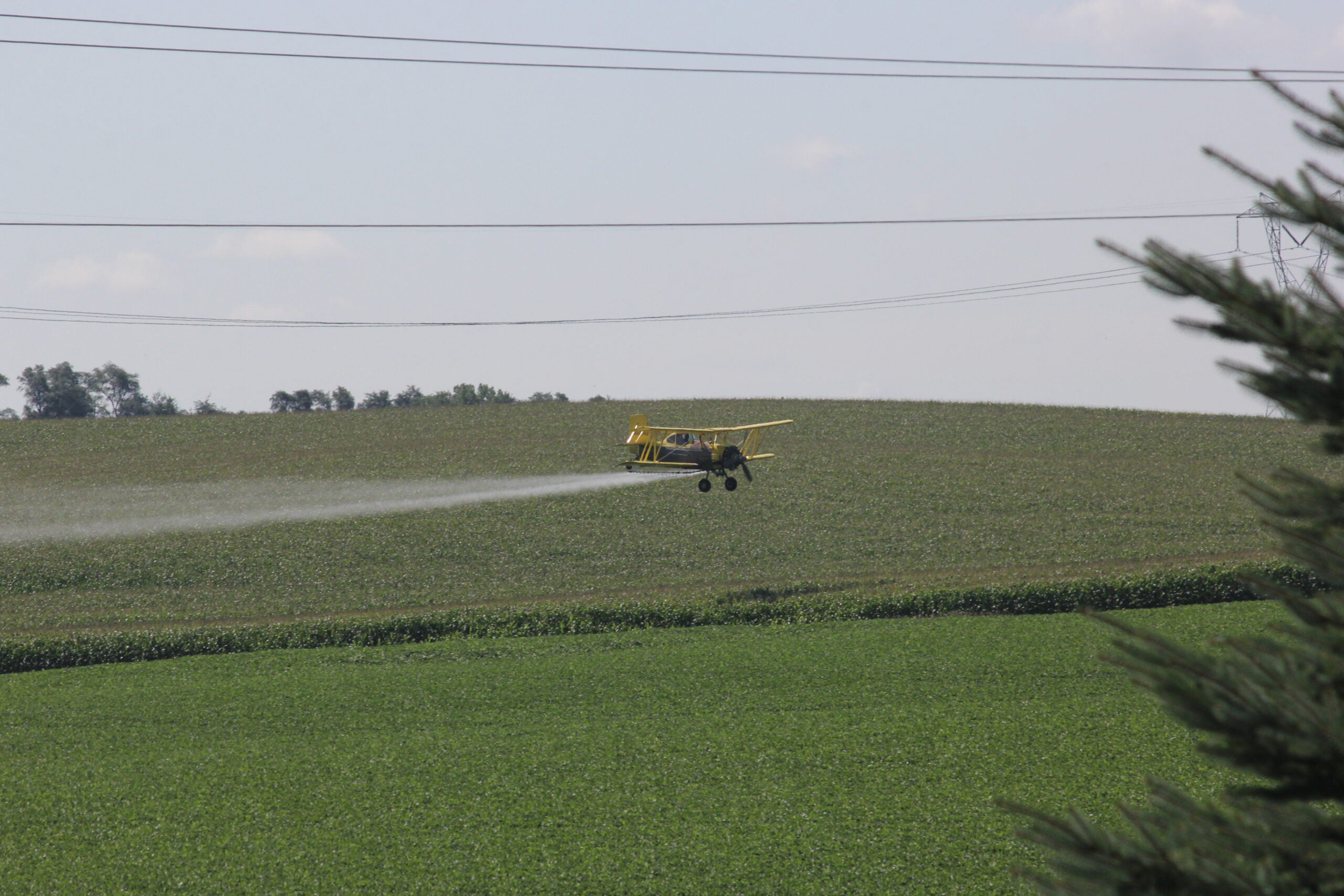 NY Gov. Cuomo directed the state Department of Environmental Conservation to ban most uses chlorpyrifos by Dec. 2020. In Dec. 2019, the European Union announced a ban on chlorpyrifos.
(Brad Covington / CC BY 2.0)