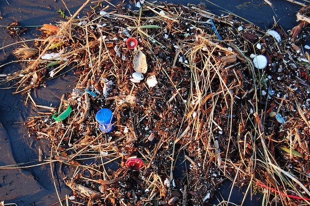Plastic found in the ocean.