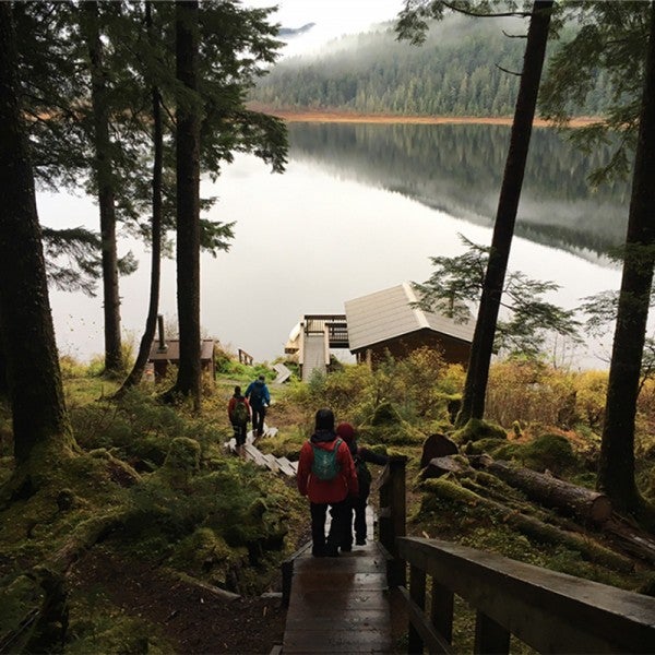 Eartthjustice staff walk down a rain-soaked, wooden staircase built into a verdant slope. The staircase leads to a building on the edge of a water body that's shrouded in fog.