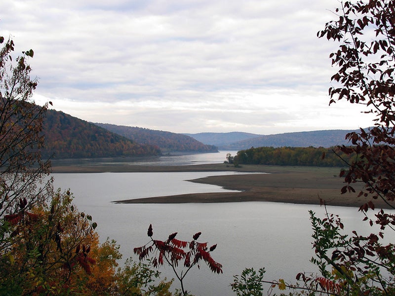 The Allegheny River in New York where the Hellbender Salamander once thrived.