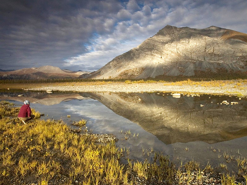 The Arctic National Wildlife Refuge.