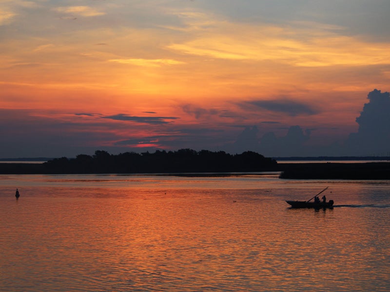 Sunset on the Apalachicola River in Florida
(Marilynn Taylor / CC BY-NC-ND 2.0)