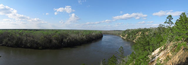 Utility company Gulf Power dumps toxic coal ash waste into unlined pits along Florida's Apalachicola River (pictured here).
(Photo by Chris M Morris (Flickr))