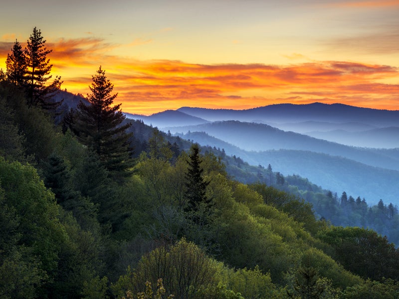 Sunrise in the Great Smokey Mountains, Tennessee. The Stream Protection Rule will determine the level of environmental protections for streams and mountains in areas like Appalachia.
(Dave Allen Photography/Shutterstock)