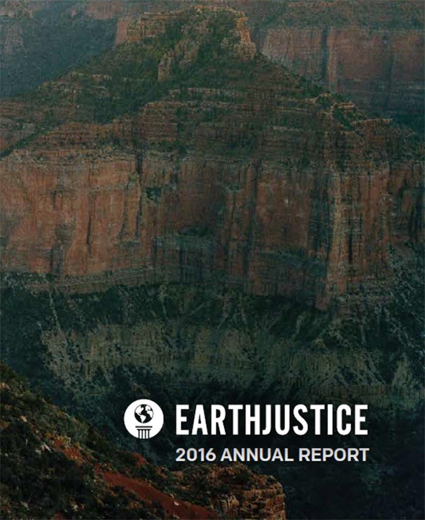 Cover of Earthjustice's 2016 Annual Report.