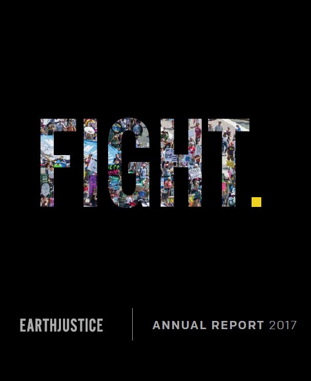 Cover of Earthjustice's 2017 Annual Report.