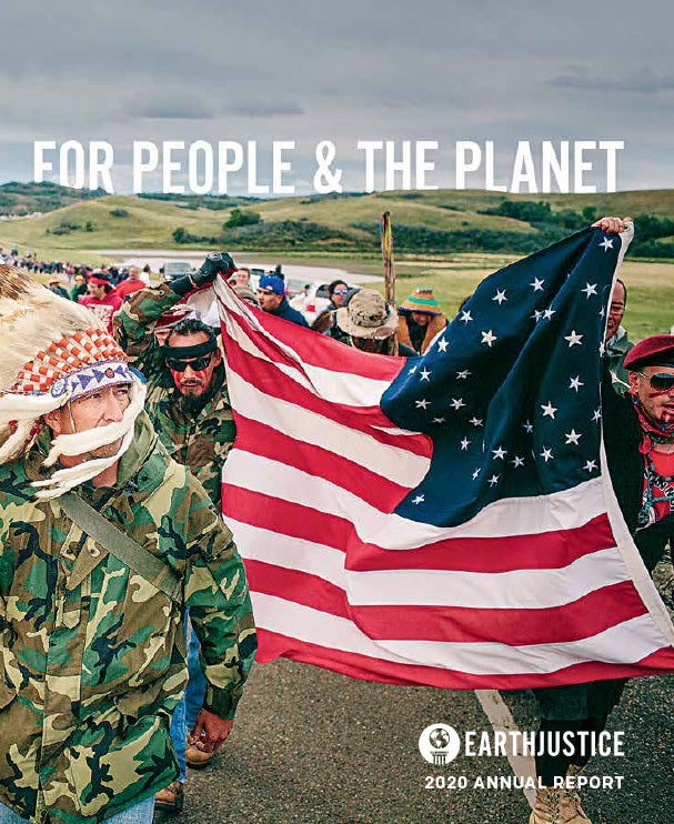 Cover of Earthjustice's 2020 Annual Report.