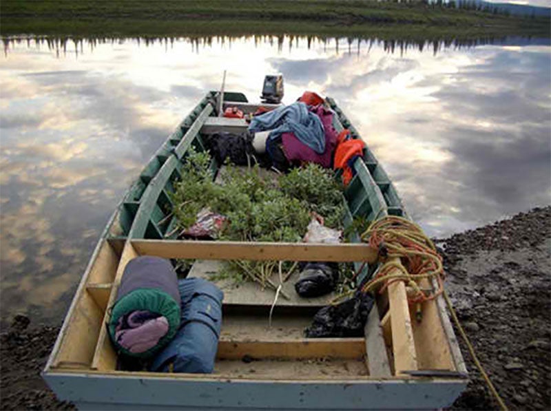 The Athabaskans rely on an intact Arctic ecosystem for their survival.
(Photo courtesy of the Athabaskan Arctic Council)