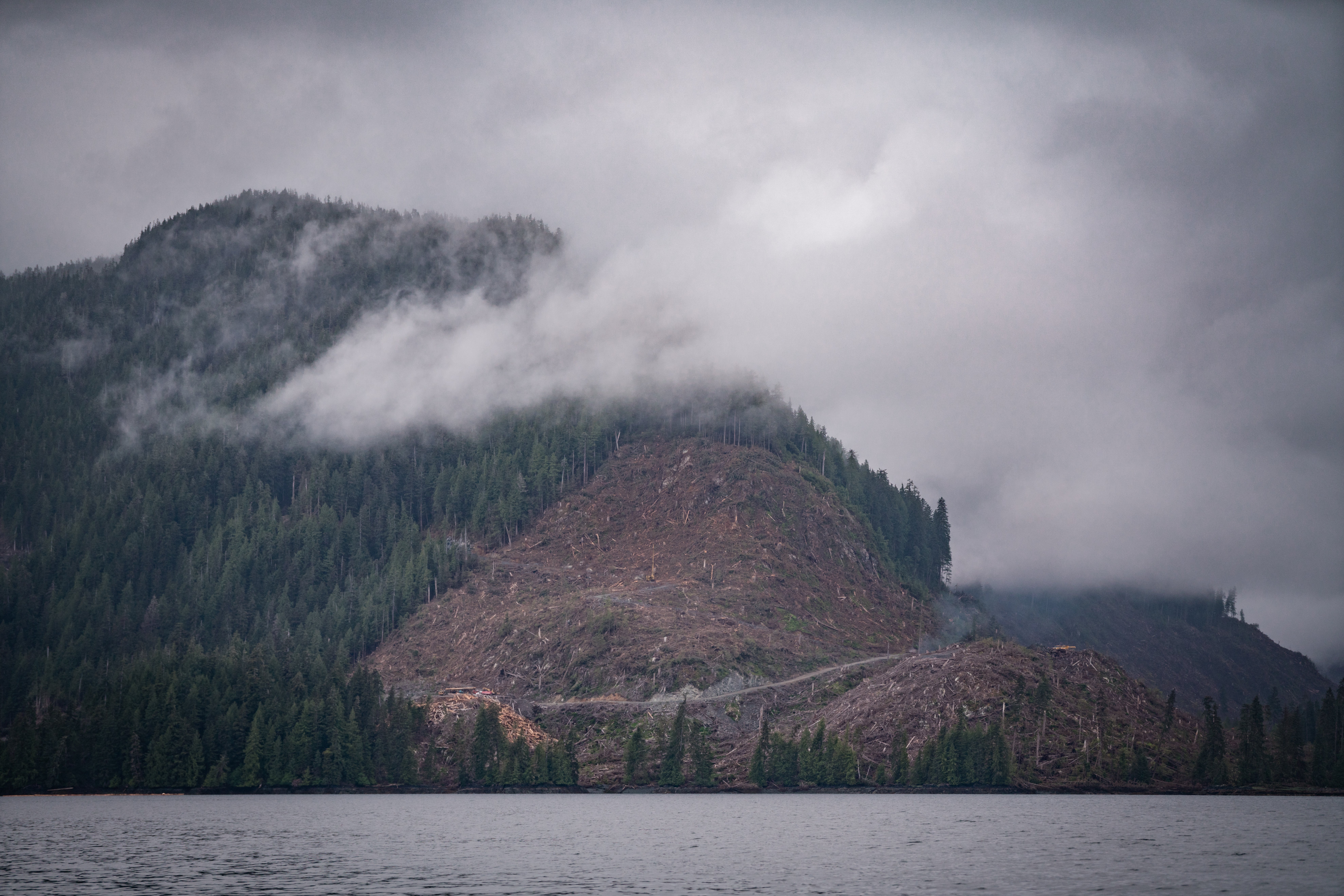 If the Roadless Rule is lifted in the Tongass National Forest, more areas of intact temperate rainforest will be opened to clear-cut logging.
(Photo by Colin Arisman)