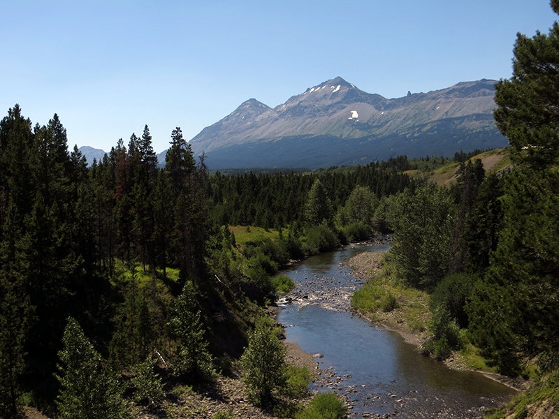 Two Medicine River from the Hall Creek trail.