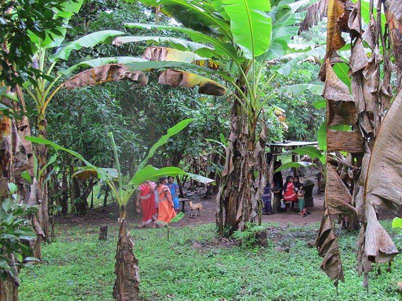 Ngöbe indigenous people are protesting a dam that will displace their homes.