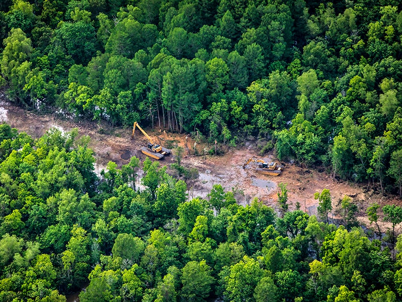 Construction is underway on the Bayou Bridge pipeline in Louisiana’s Atchafalaya Basin, even though a state judge recently ruled that Energy Transfer Partners’ use permit failed to consider the pipeline’s impact on a nearby community.
(Photo courtesy of Julie Dermansky)