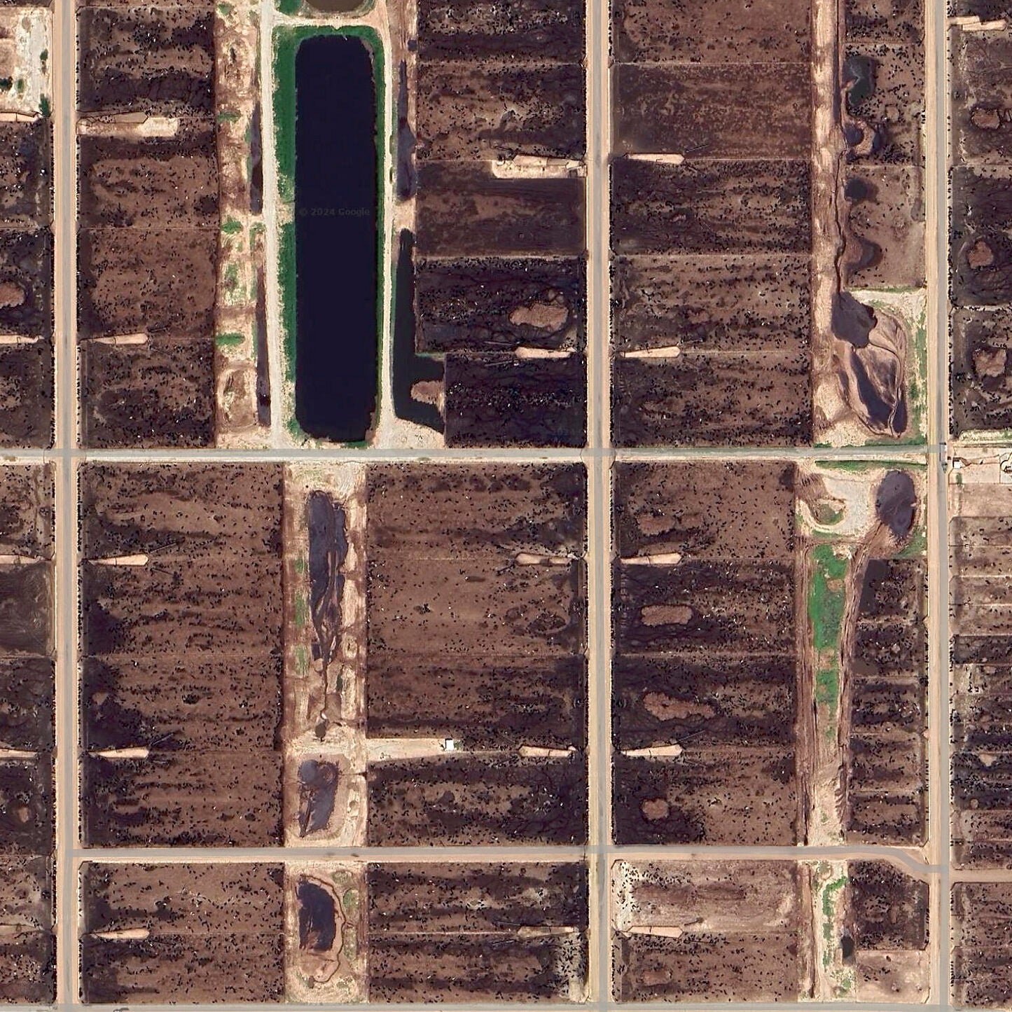 A satellite view of roads and lagoons, surrounded by brown dirt fields with hundreds of cattle appearing as small specks in the image.