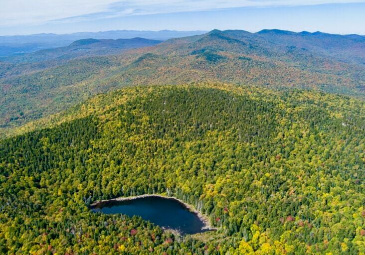 Bird's eye view of a forest with a lake in the middle