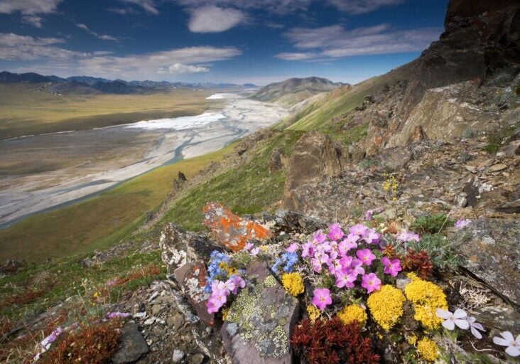 The Arctic Refuge.