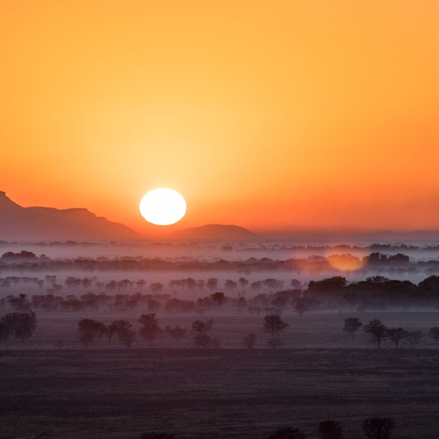 The incandescent sun rises in a richly yellow and orange sky over a dark, grey smokey landscape. Lines of black trees are partially visible through the thick smoke. Mountains are visible to the left.