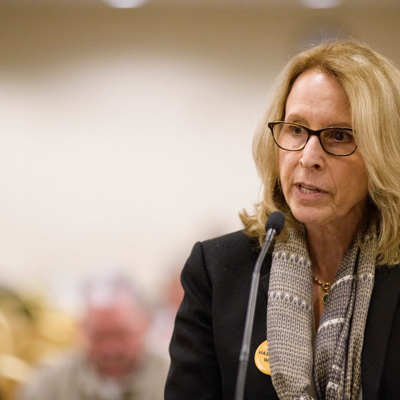 Lisa Evans, an attorney at Earthjustice specializing in hazardous waste law, speaks at an EPA hearing in 2018.