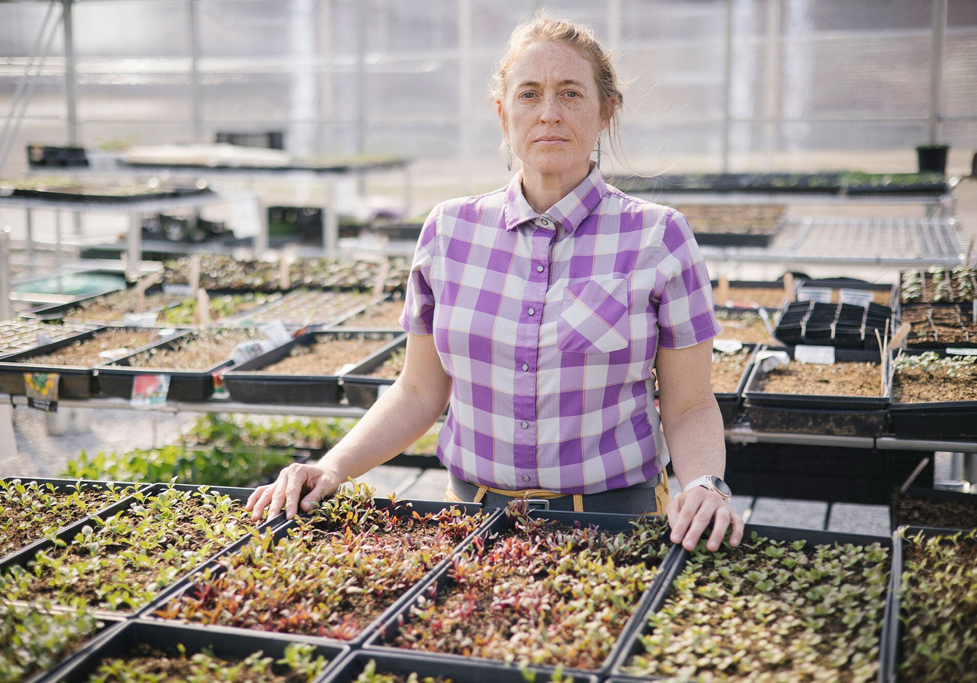 A women in a purple plaid button up stands before trays of seedlings in a green house.