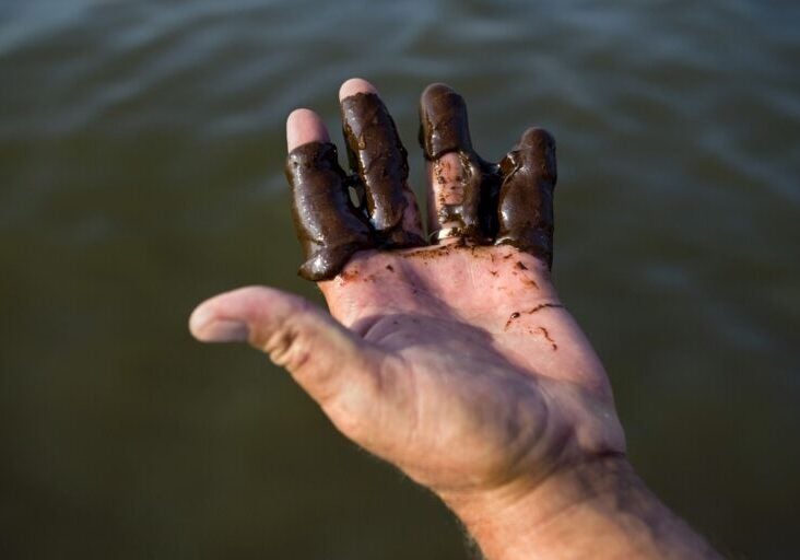 A close up photo of a hand with the fingers covered in thick brown oil. The background of the photo is dark green water.
