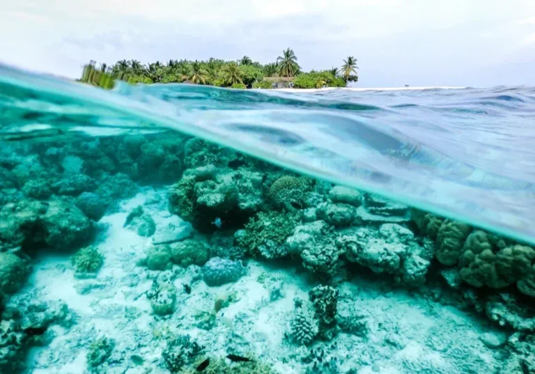 Esta imagen ilustra un arrecife e isla frente a la costa de Veracruz, México. (Cesar Morales / Getty Images)