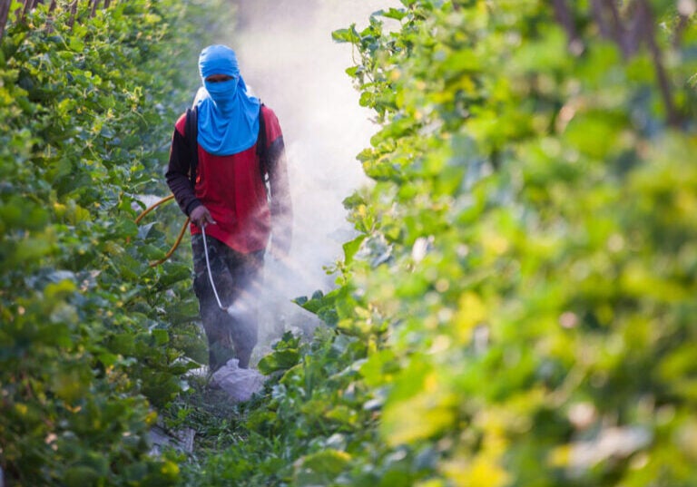 Farmworker using pesticides