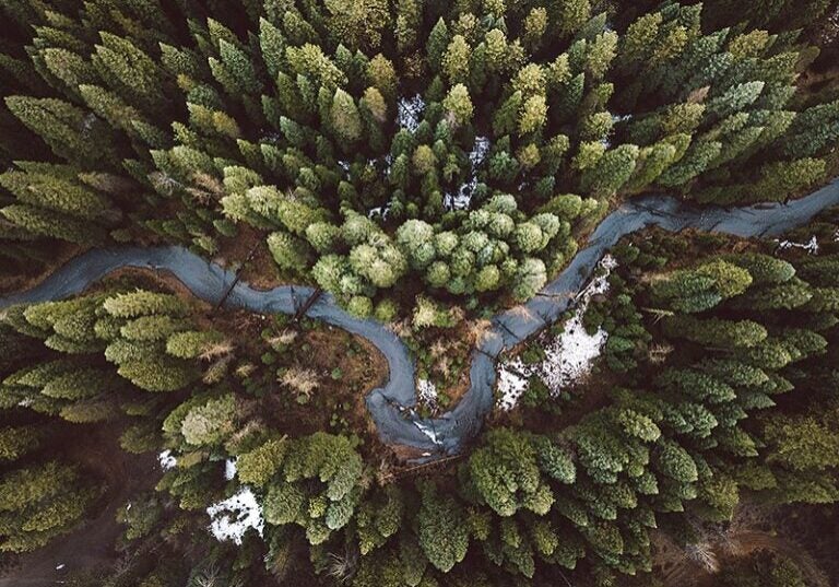 A river winds through a forest seen directly from above near Klamath Falls, Oregon.