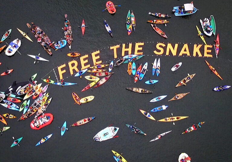 Free the Snake flotilla 2016
