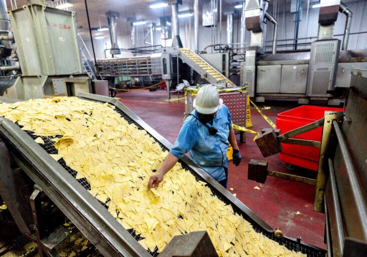 A man takes a chip off a conveyer belt in a large industrial facility.